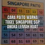 Tabel paito warna untuk togel Singapore Sgp