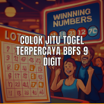 Colok jitu togel terpercaya Bbfs 9 digit
